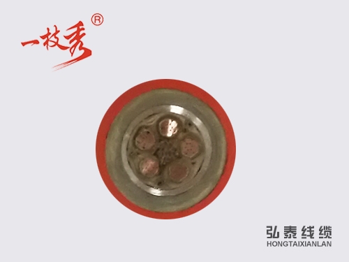 成都NG-A(BTLY)-0.6/1KV 5x10mm2